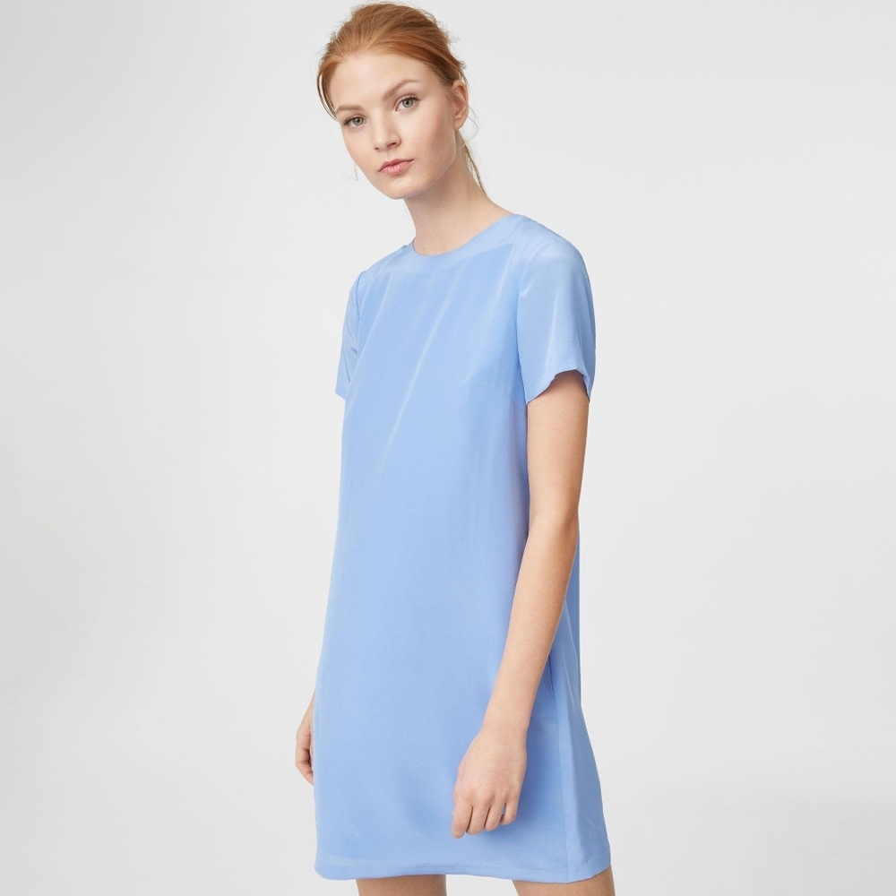Club Monaco dress